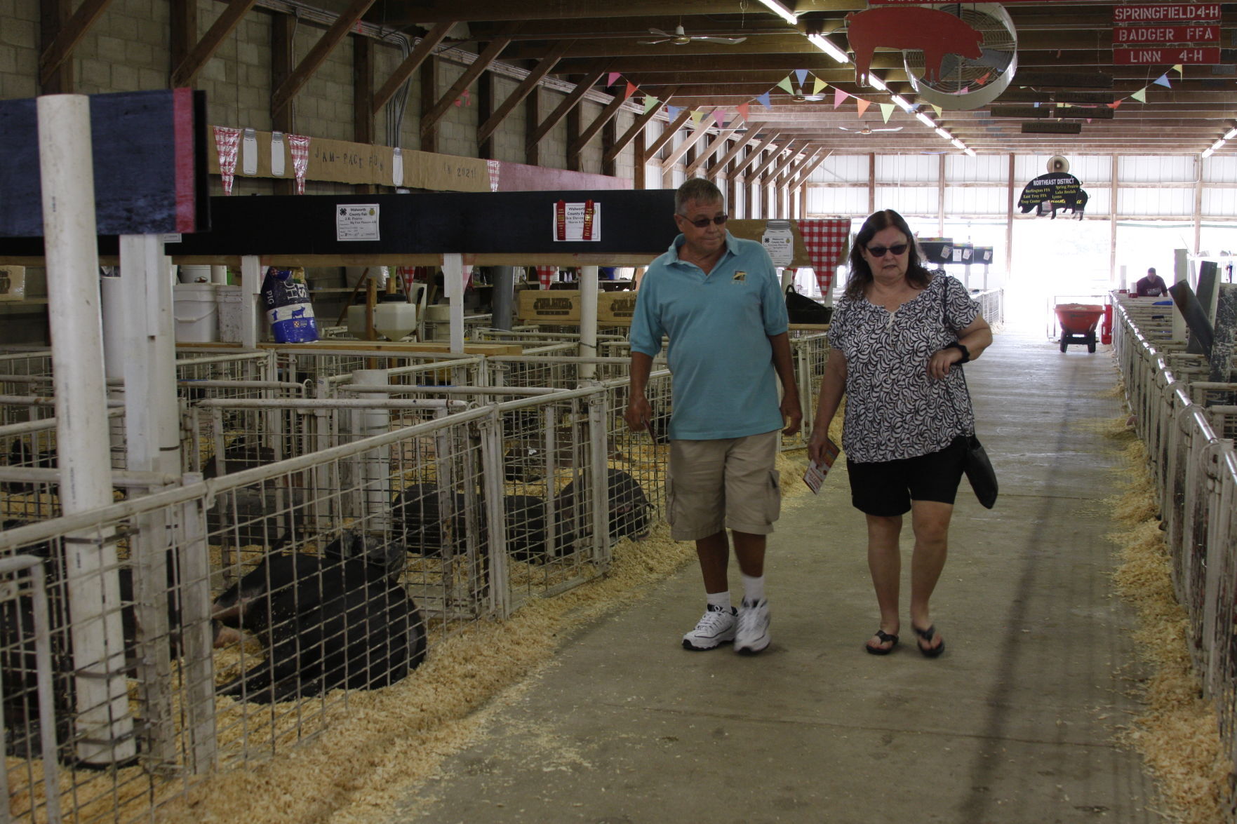 A stroll through the pig farm